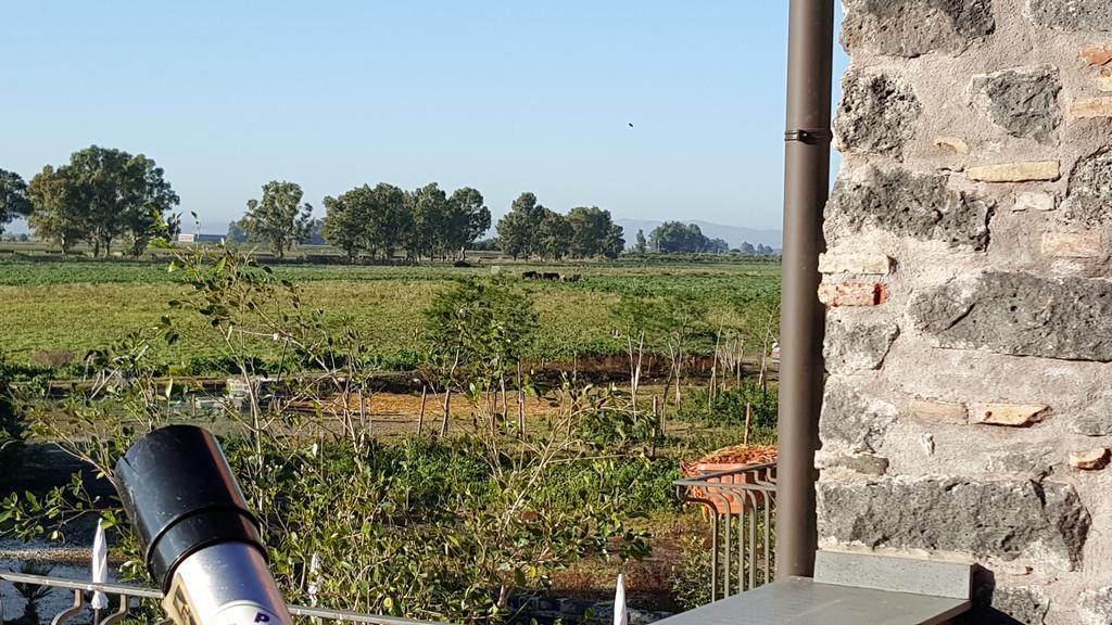 Oasi Di Francesca Villa La Rotondella Exteriör bild